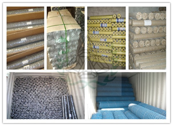 PVC coating Hexagonal Wire Netting, Chicken Wire (1'' 2'')