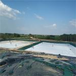 Heavy-duty 100-800g/sqm PP Needle-punched Geotextile for Road and Railway