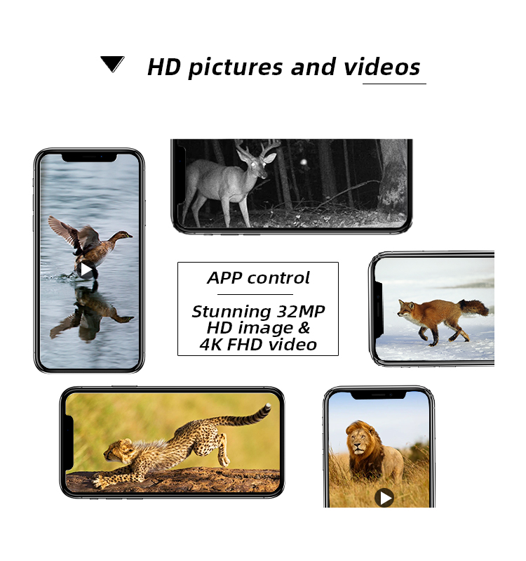 PH770 32 MP 2.4 Inches Weather-Resistant Hunting Night Vision Camera Hunting Trail Camera