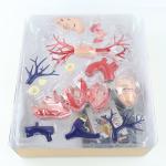 20 Parts 4d Anatomical Heart Model For Medical Teaching