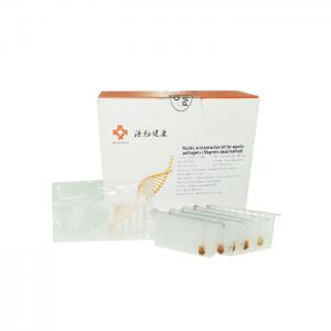 China ISO13485 Nucleic Acid Extraction Kit Magnetic Bead DNA RNA Extraction Kit on sale