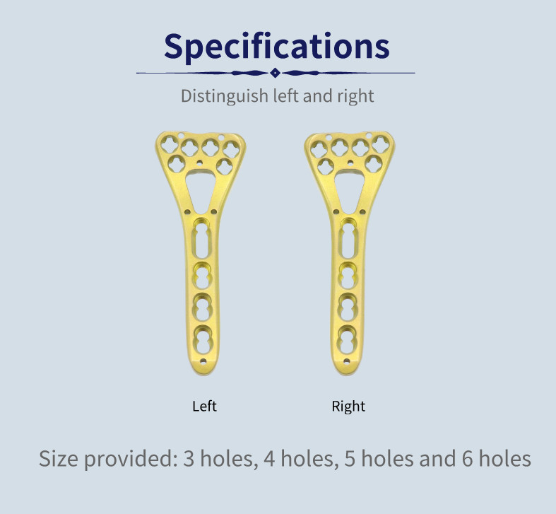 Class II Multi Axial Distal Variable Angle Locking Plate