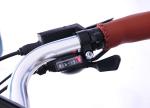 36V 250W Rear Motor Ebike City Bike Aluminum Alloy With Tektro Disc Brake