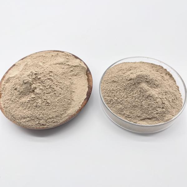 Effective Water Treatment Bio Bacteria Reduces Organic Pollutants And Improves