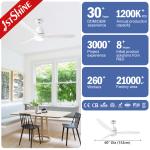 Newest Product Cooling Air Black Ceiling Fan with Multicolor LED Light by
