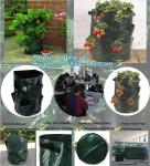 Garden Potato Planter Growing Bags PE Fabric Eco-friendly 7Gallon 10Gallon