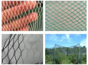 Wholesale HDPE Agriculture Apple Tree Anti Hail Net for Plantations from china suppliers