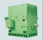 IE3 / IE2 High Voltage Induction Motor Water Pump Three Phase ISO9001