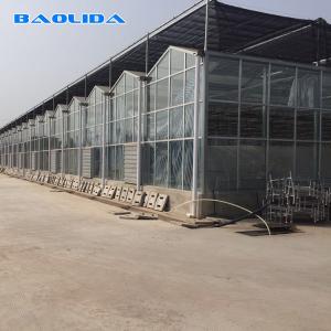 China Solar Polycarbonate Sheet Greenhouse / Agricultural PC Sheet Greenhouse on sale