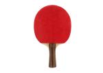 Laminated Color Handle Paddles, Reverse Rubber Sponge Plywood Rackets Play
