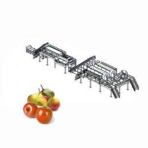 Wholesale SUS304 / SUS316L Complete Apple Processing Line , Fruit Juice Equipment from china suppliers