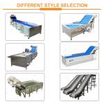 380V Vegetable Washing Line Green Pepper Chili Cleaning Machine