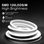 85lm/w Lamp Luminous Efficiency Remote Controlled LED Strip Light for Outdoor