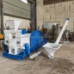 30mm Dia Biofuel Wood Sawdust Hydraulic Briquetting Punching Machine with Blue