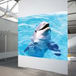Adhesive Transparent Holographic Projection Film Glass Window Rear Projection