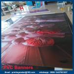 Indoor Vinyl Backdrop Banner Printing