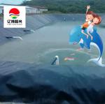 Outdoor HDPE LDPE LLDPE Liners for Aquaculture Pond Swimming Pool Reservoir Dam