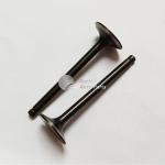 Diesel Excavator Machinery Engine Parts A2300 Intake Valve 4900337