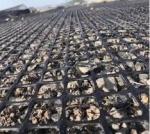 Black Geotextile Nonwoven Biaxial Plastic Geogrid Stitched Anticrack Geogrid for