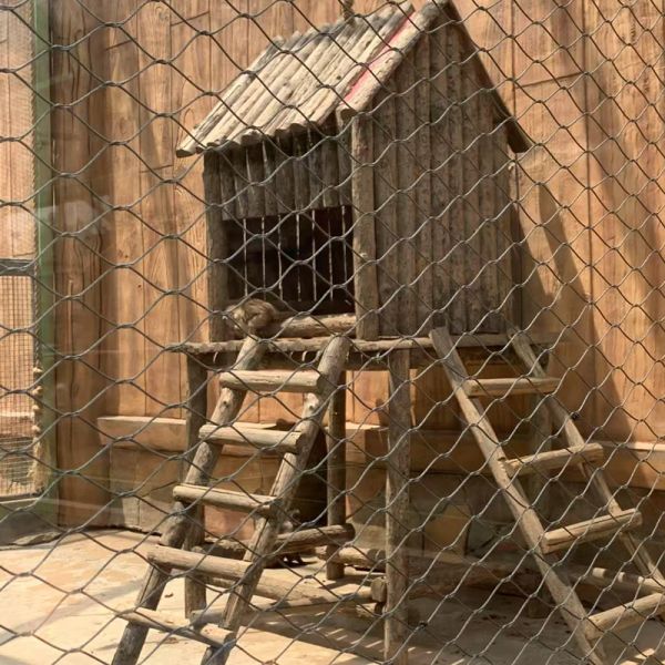 Stainless Steel Wire Cable Net Rope Mesh for Zoo Aviary Fence - AISI316/316L