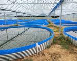 Waterproofing Made Simple with HDPE Fisheries Waterproof Sheet Geomembrane Pond
