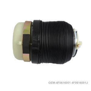 Wholesale Air Bellow Rear Left / Right Air Suspension Springs For Audi A6C6 4F0616001 4F0616001J from china suppliers