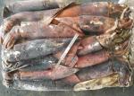 frozen giant squid 500-100 dosidicus gigas BQF good freshness Peru giant squid