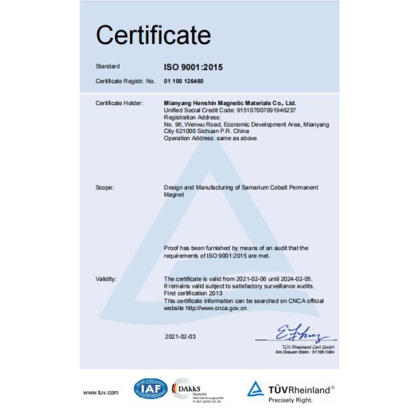 HSMAG Antirust Coupling Strong Permanent Motor Samarium Cobalt Silver Arc Magnets