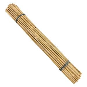 Wholesale Eco-Friendly Bamboo Poles Toamto Beans Potted Plants for Indoor and Outdoor Plants from china suppliers