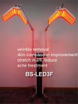 Pdt Led Wrinkle Removal Red Light Therapy acne pigmentation removal beauty