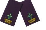 Twill / Cotton / Felt Military Custom Embroidered Patches, Embroidery Badges