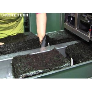 Plastic Rubber Parts Integrity Visual Inspection System with Online Rejection