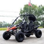 Dual Shock Air Cooled 2 Seater Off Road Go Kart With Belt Drive + Chain Drive