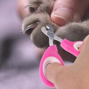 Wholesale Pink Color Pet Nail Scissors , Pet Pedicure Nail Grinder Ergonomic Design from china suppliers