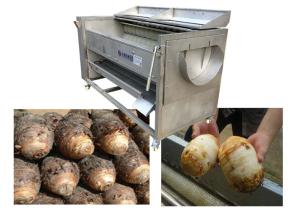 Wholesale Fruit And Vegetable Electric Peeling Machine Capacity 1000-1500KG/H from china suppliers