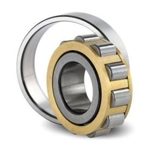 Wholesale NU 2320 ECP Cylindrical Roller Bearings 100*215*73mm use for Servo Motor from china suppliers