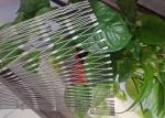 Stainless Steel Rope Mesh Fencing , Security Bird Cage Mesh