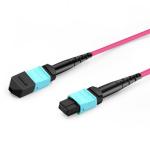 7m (23ft) 12 Fibers Female to Female MTP Trunk Cable Polarity B Plenum (OFNP)