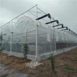 Greenhouse Tomato Cucumber Strawberry Growing System with Film Cover and US