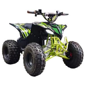 Wholesale 1130*590*730mm EEC Spy Racing Atv Highly 800w 4x4 Electric Go Karts for Kids and Adults from china suppliers