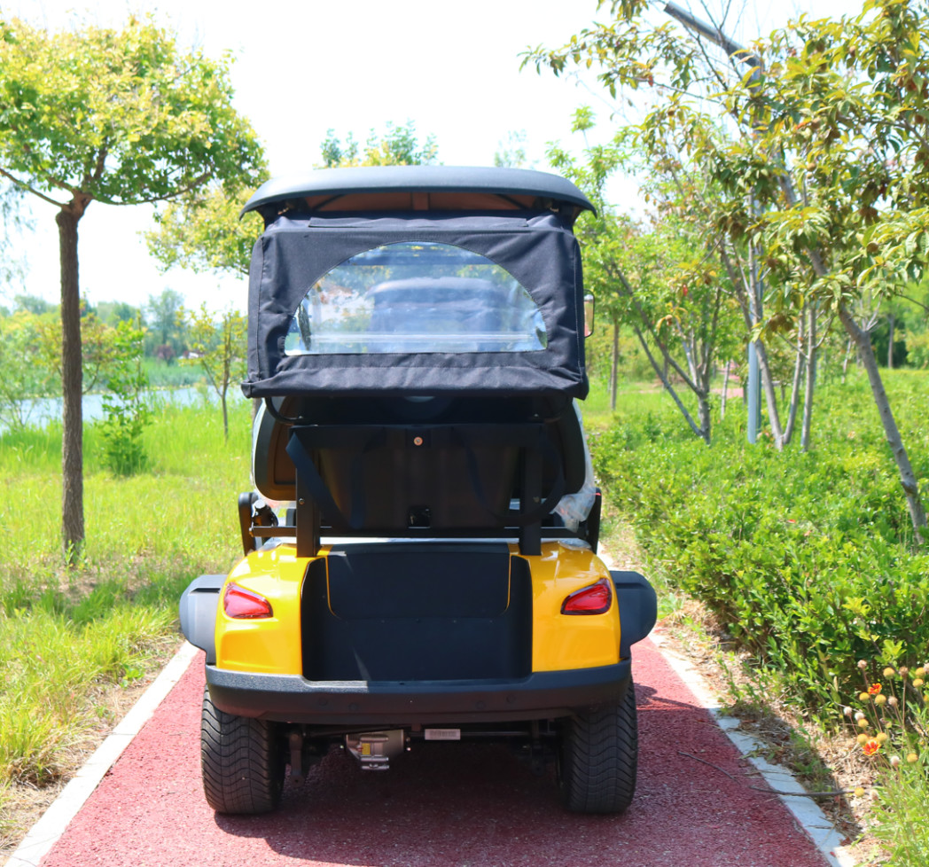 Import EV Golf Electric Cart Battery Powered Rechargeable 5KW Motor Hunting Cars