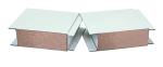 100mm PPGI Stainless Steel Propor Sandwich Panel