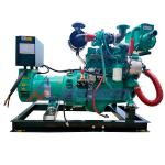 41kVA Standby Power 50Hz cummins diesel generator With ASF184H Alternator
