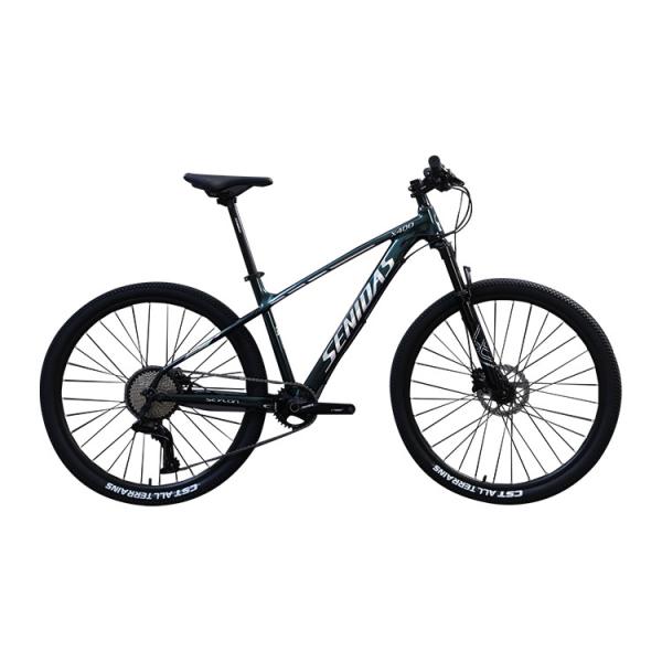 27.5 29 Bicycle Marlin 10 Speed Customized Adult Mountain Bike with and Ordinary