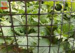 Heavy Duty Fence 50CM Garden Mesh Netting