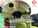 A182 / SA182 F60 UNS S32205 Forged Duplex Steel Flange ANSI B16.5