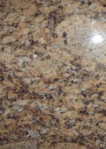 China Gialla Veneziano Yellow Granite Stone Tiles , Natural Granite Floor Tiles Good Weather Tolerance on sale