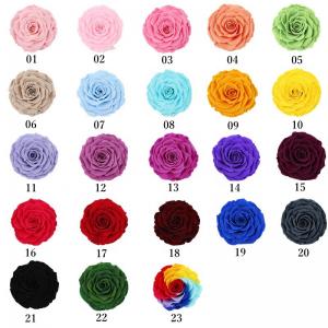 Wholesale Decorative Preserved Rose Heads Maintain Natural Beauty &amp; Colour For A Long Time from china suppliers