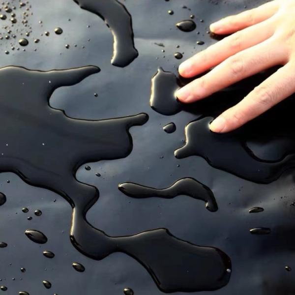 2mm Black HDPE Geomembrane Waterproof Shrimp Fish Pond Liner for Aquaculture