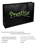 Nice Design Paper Shopping Bag , Recycle / Environmental Luxury Shopping Paper